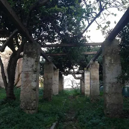 Апартаменти Gelso Bianco